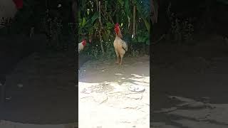 தபபஙகலகக எலலரம கட இரககறஙக