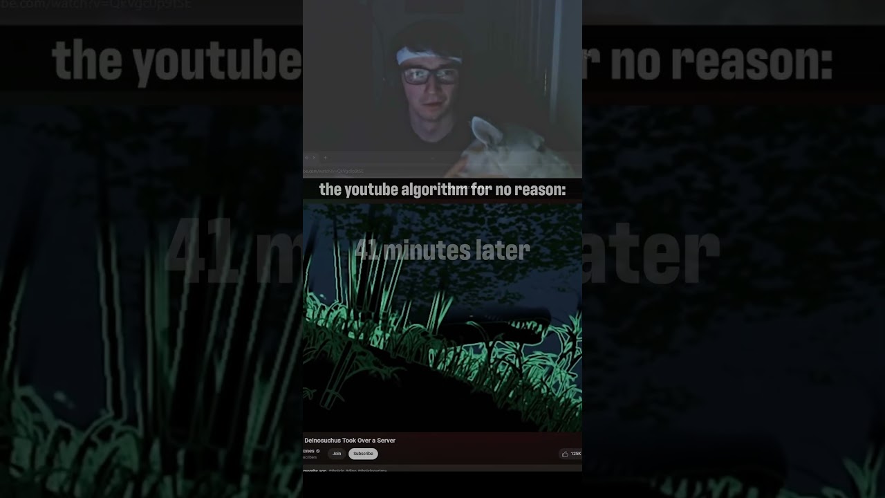 the most random videos hit the hardest