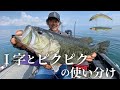【バス釣り】”I字”と”ピクピク”の使い分け。線と点で広範囲を効率的に釣る方法 / 加藤誠司