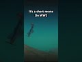 Axis VICTORY is now on my channel #trailmakers #film #mideast