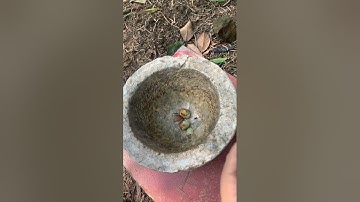 Món Ăn Đặc Sản Của Người ê đê