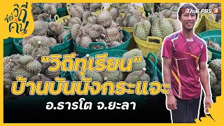 วิถีทุเรียน บ้านบันนังกระแจะ อ.ธารโต จ.ยะลา | ซีรีส์วิถีคน [CC]