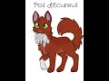 Edit Poil d'Ecureuil et Etoile de Ronce #lgdc #warriorcats