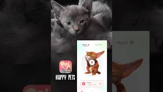 Happy pets app v3 screenshot 2