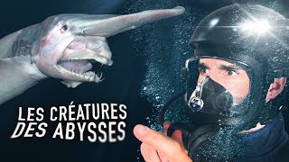 5 créatures horribles des abysses !