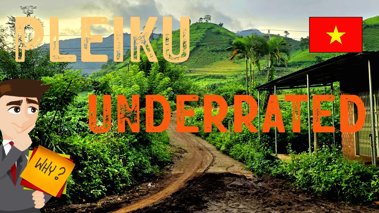 Pleiku Revealed: The 