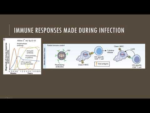 Video: Sebuah Antibodi Telah Ditemukan Yang Menekan 96% Strain HIV - Pandangan Alternatif