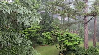 9 Minutes With Heavy Rains And Some Thunder