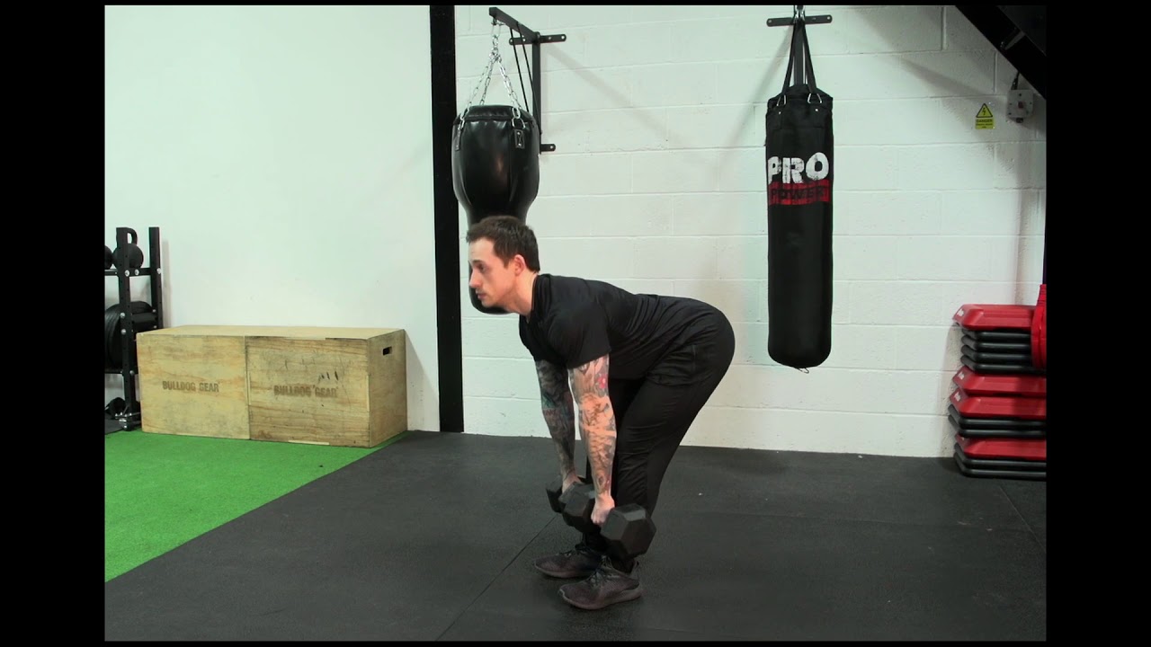 Stiff legged dumbbell deadlift - YouTube