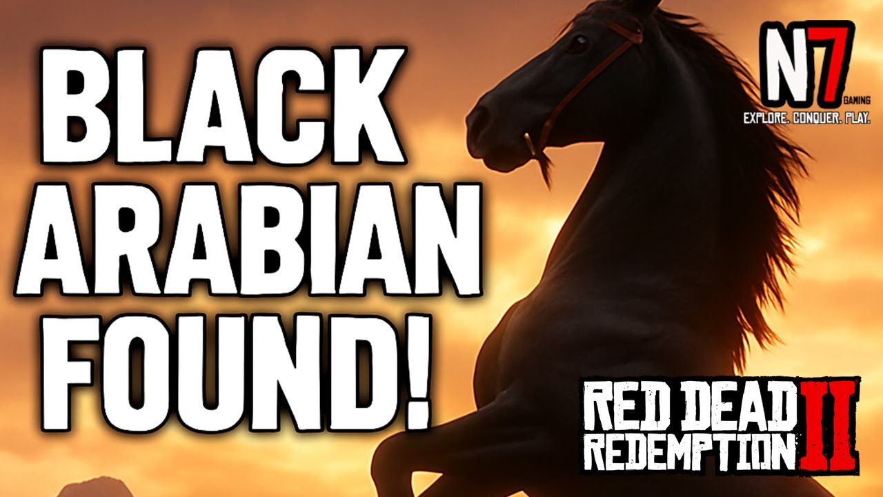 How to Find the Black Arabian Horse in Red Dead Redemption 2 | RDR2 ...