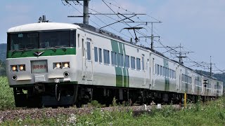 JR185系OM03編成 9446M 快速「足利藤まつり3号」桐生行き JR両毛線 大平下～岩舟 区間