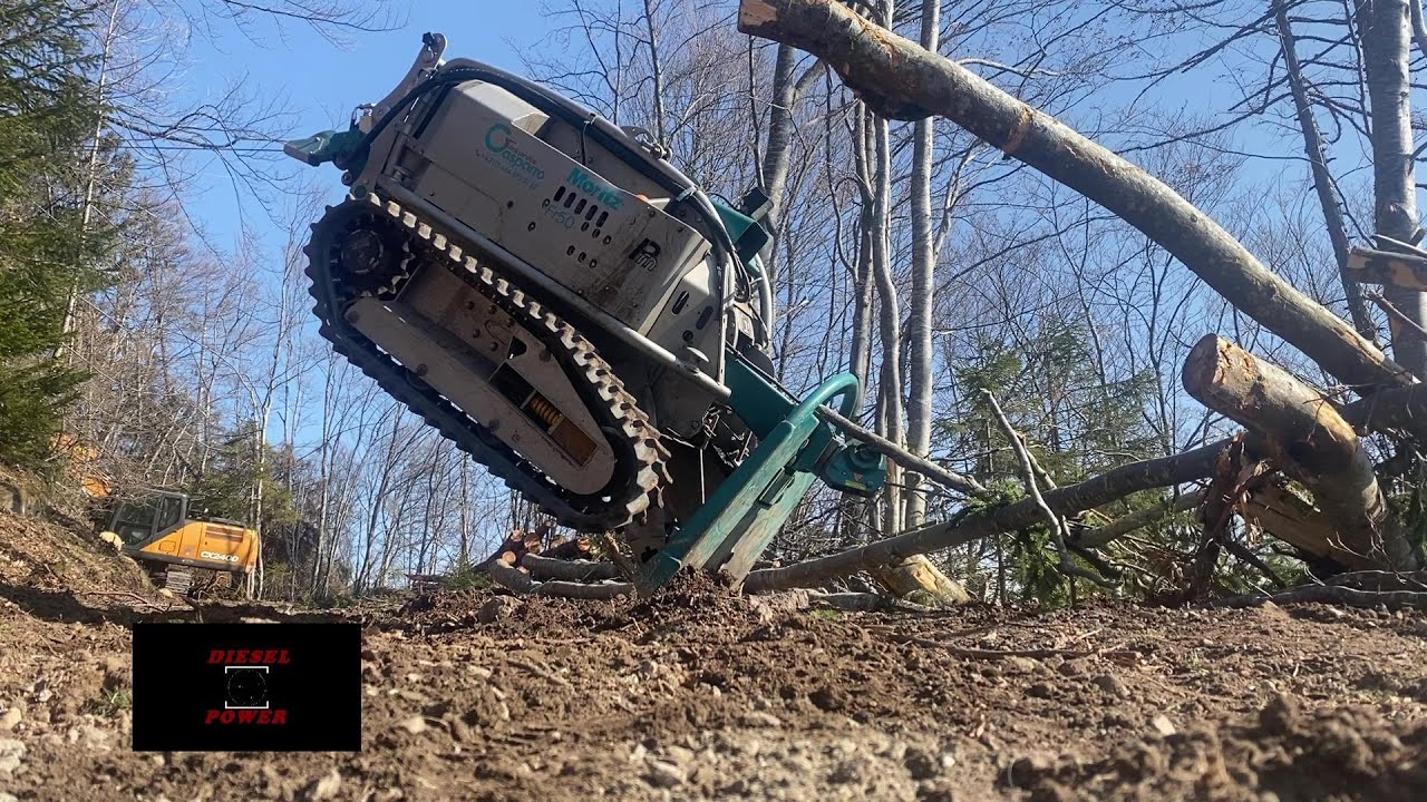 Harry 》 Peppo 》 Moritz 》 Husqvarna 550xp 》 Case Logging in Südtirol