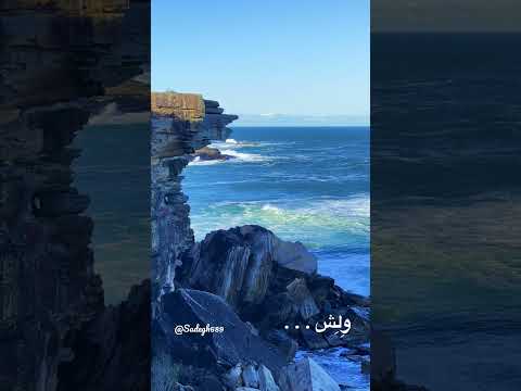 و ل ش عمو زنجیر باف محسن چاووشی