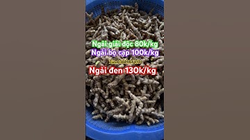 Ngải đen tươi, ngải bọ cạp, ngải chống độc