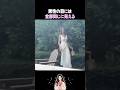 男性の目には全部同じに見える
