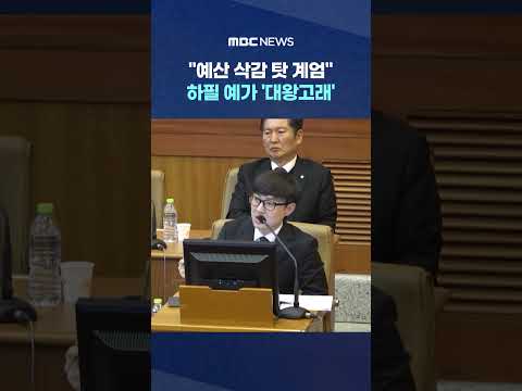하필 예가 &amp;#39;<strong>대왕고래</strong>&amp;#39; #Shorts (MBC뉴스)