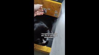 The audacity! H/t u/Tamara_vr via r/aww #cat #catlover