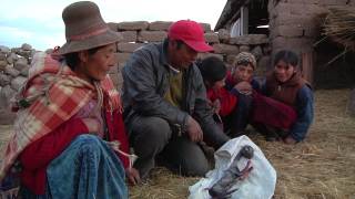 Proyecto para enfrentar y reducir amenazas por el frío y las heladas en Pucará-Puno