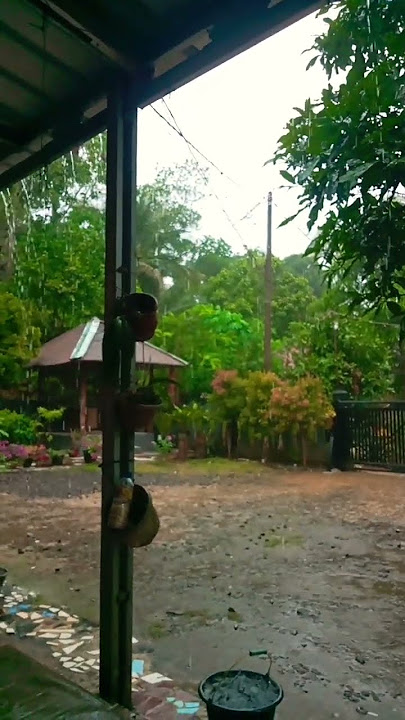 SUASANA HUJAN DI PEDESAAN SUNDA #nature #alam #music #storywa