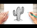 How to draw realistic cactus easy