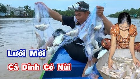 KHAI TRƯƠNG Lưới Mới Thả 10kg Cá Hãi Hùng Dính Cá Có Nùi. OPENING New Net Catches 10kg of Scary Fish