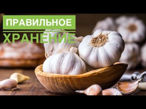 Как правильно хранить чеснок?