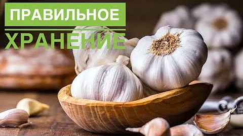 Как правильно хранить чеснок?