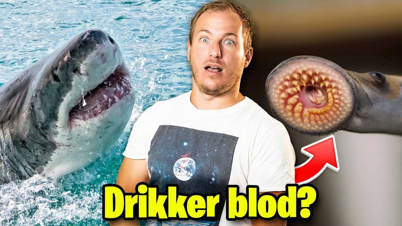 10 uhyggelige dyr!! 😱