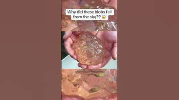 Why did these blobs fall from the sky?? | The Oakville Blobs
