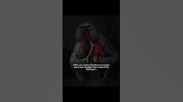 The dinosaurs would be scared of these 5 animals #extinct #dinosaur #prehistoric #animals #titanoboa