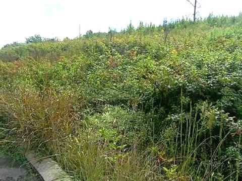 39 Landmark Ln, Dunlap, TN home video tour