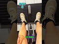 Day 6: No Quitting Now | Wrestling Dream in Motion