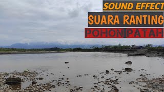 Sound Effect Ranting Pohon Patah free no copy right