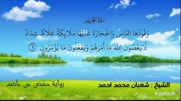 سورة التحريم. الشيخ شعبان محمد