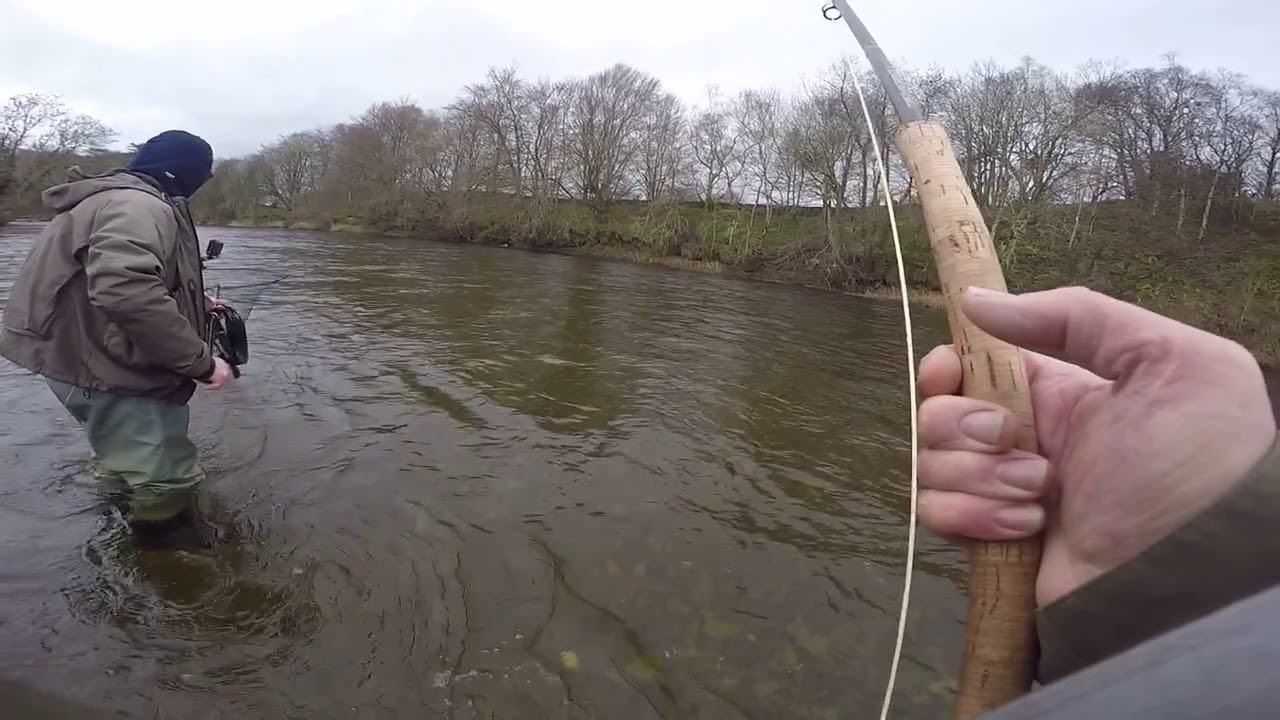 Beash’s good salmon from the nith - YouTube