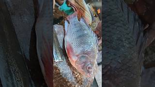 Never Seen Cutting Skills!! Incredible Giant Tilapia Fish Cutting Master Bangladeshi #shorts