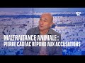 Pierre Cadéac accusé de maltraitance animale: le dresseur s'explique sur BFMTV