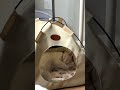 #catbed #catlife #petcomfort #musthave #panierchat #confort #chaton #mignon #katzenbett #gemütlich