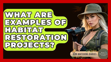 What Are Examples Of Habitat Restoration Projects? - Bird Watching Diaries
