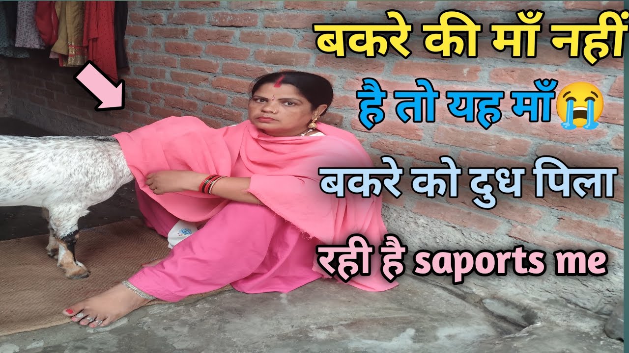 बकरे की माँ नही है यह माँ बकरे को दुध पिला रहो है.. 😱😭#saport#me#dpsto