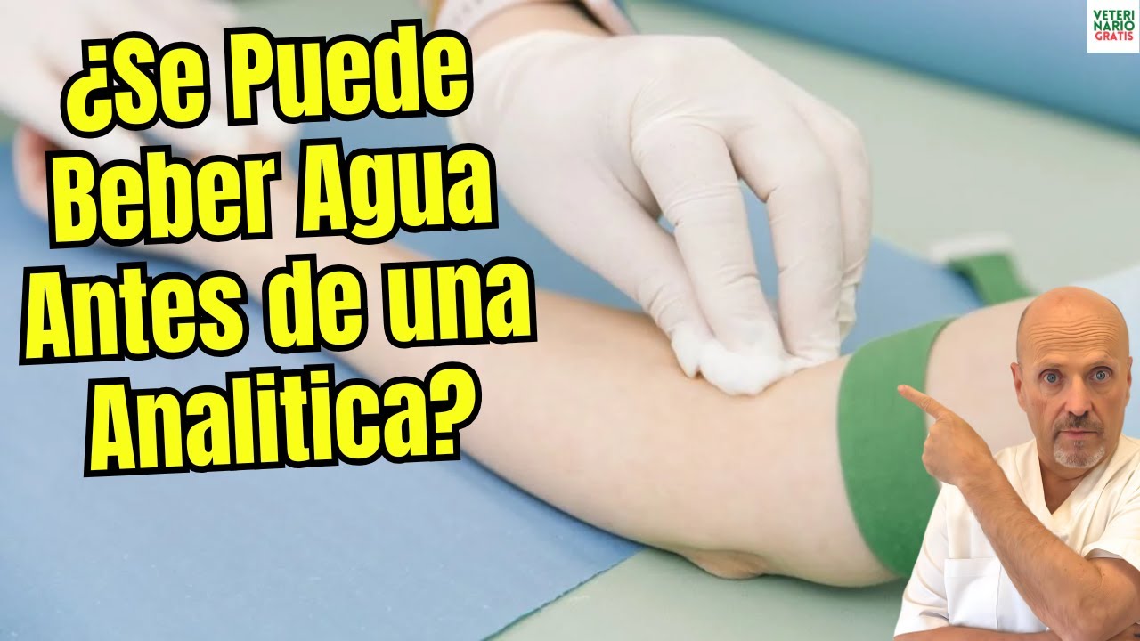 🤔🩺 ¿SE PUEDE BEBER AGUA ANTES DE UNA ANALITICA DE SANGRE U ORINA?🤔🩺