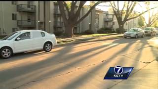 Teens arrested after allegedly shooting cars, windows with BB guns