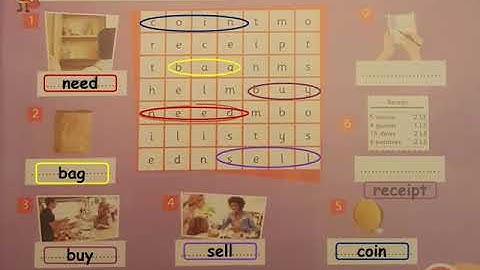 primary one (connect plus- student