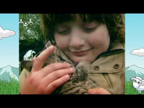 Остров открытий. Соломон