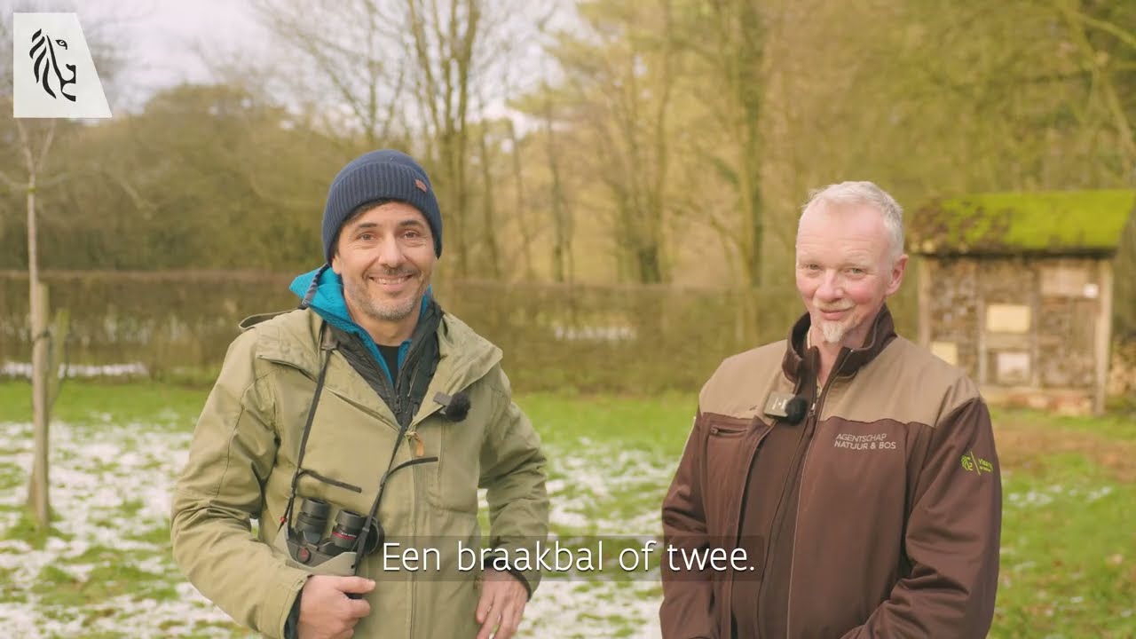 Op pad in het Zoerselbos met de boswachter en... Dieter Coppens! | Natuur en Bos