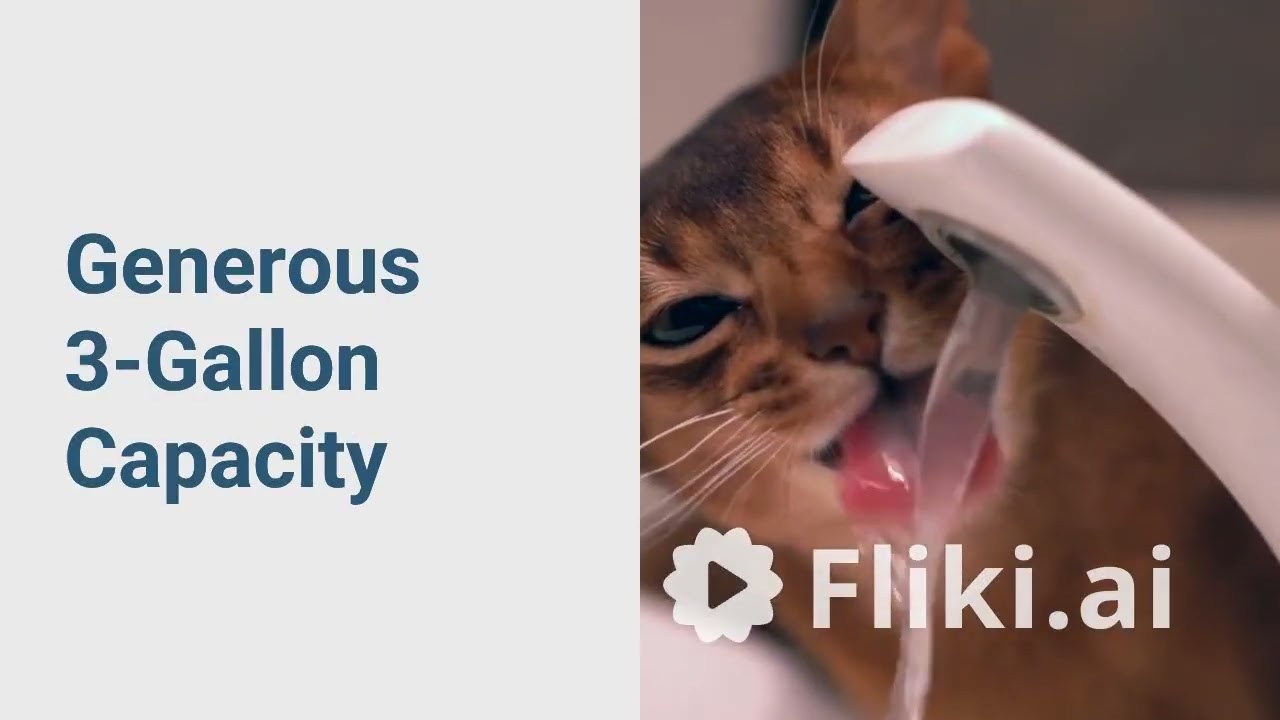 petmate pet cafe water dispenser overview