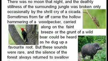 The Tiger in the Tunnel (PART-1) || FARZANA SHAMIM, Lecturer in English