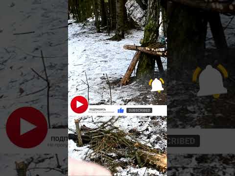 ⚡КАК развести КОСТЕР🔥 с ОДНОЙ СПИЧКИ!! 😱хитрый способ!! #shorts