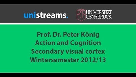 03. Video Action and Cognition WS 12/13 - Secondary visual cortex, pathways - unistreams