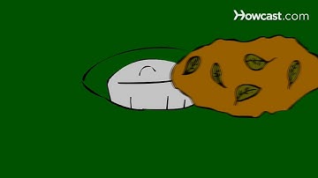 How to Keep Compost Worms Warm & Healthy